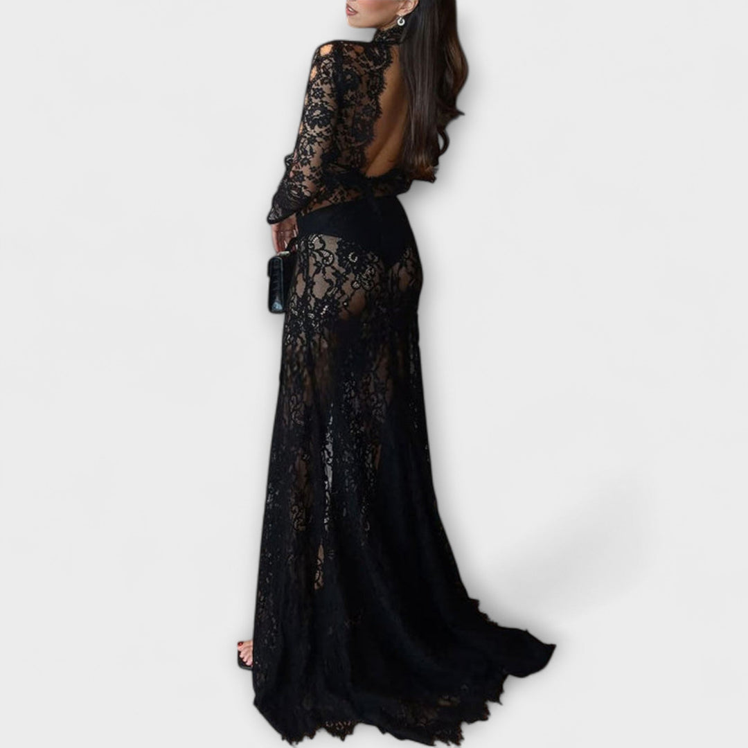 Midnight Elegance Transparent Cutout Long Sleeve Stretch Maxi Dress